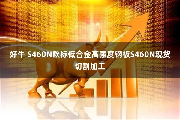 好牛 S460N欧标低合金高强度钢板S460N现货切割加工