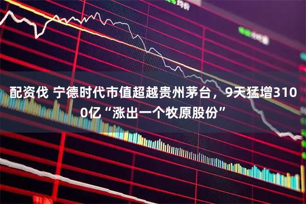 配资伐 宁德时代市值超越贵州茅台，9天猛增3100亿“涨出一个牧原股份”