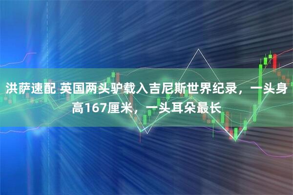 洪萨速配 英国两头驴载入吉尼斯世界纪录，一头身高167厘米，一头耳朵最长