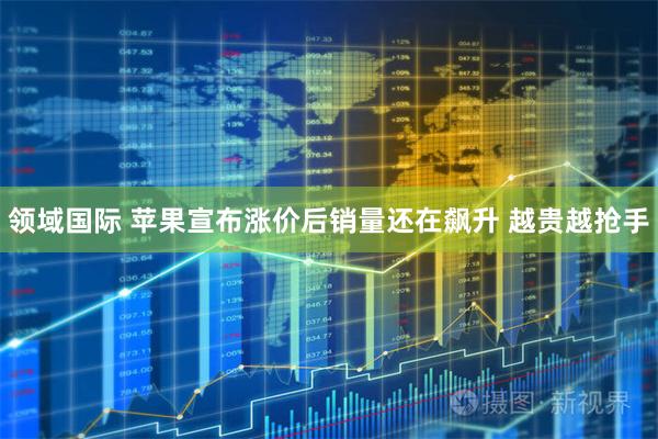 领域国际 苹果宣布涨价后销量还在飙升 越贵越抢手